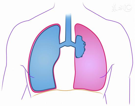 三類中年人要少吃雞蛋