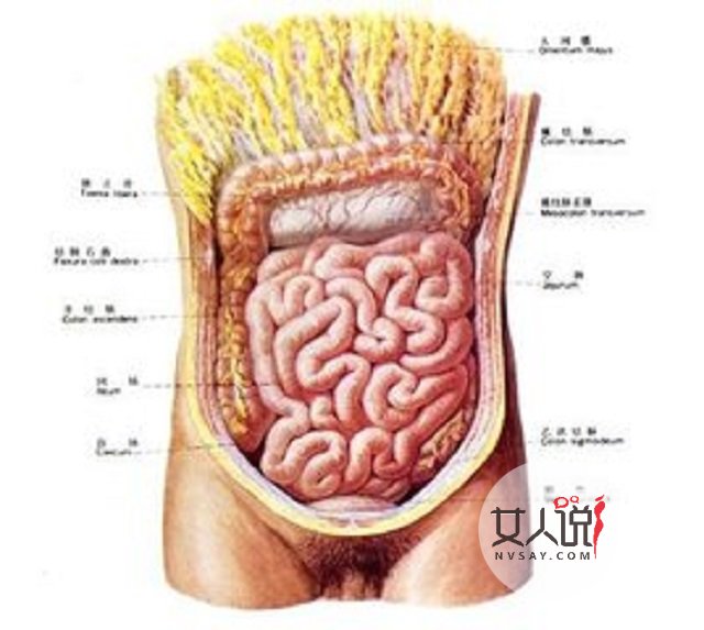 腸炎的這些你知道嗎？一起來看一下吧。