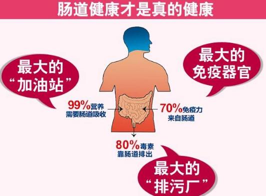 拿破侖的難言之隱便秘致滑鐵盧慘敗 好習(xí)慣養(yǎng)成好腸道