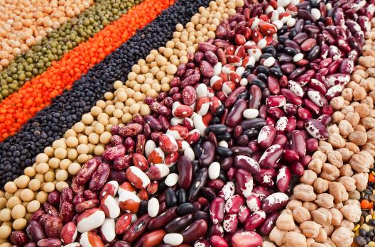 女白領養生好食物推薦 合理安排健康膳食遠離疾病