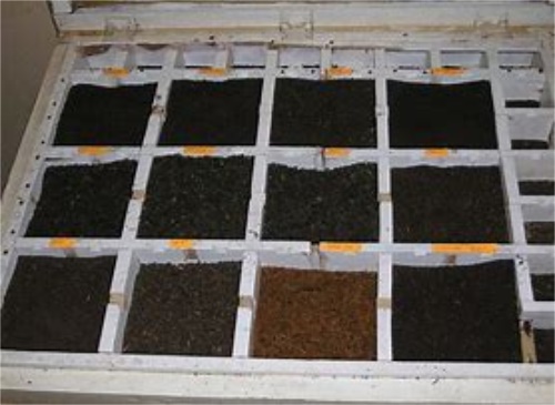 云南滇紅茶多少錢一斤