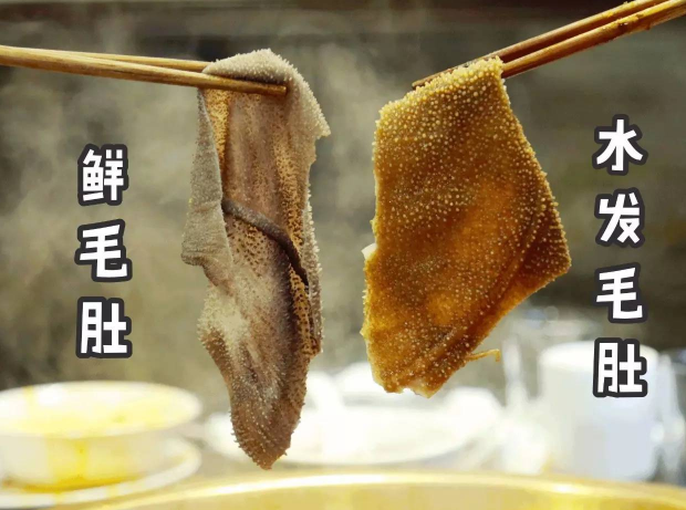 鮮毛肚和水發毛肚的區別 哪個價格貴