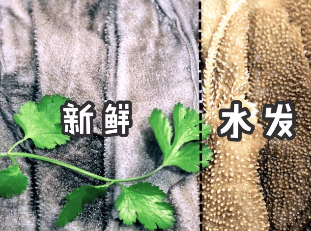 鮮毛肚和水發毛肚的區別 哪個價格貴
