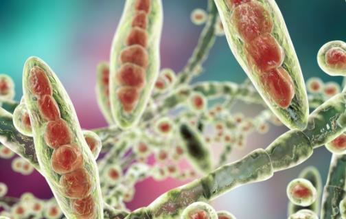 盤點(diǎn)你老是有腳氣的原因 最常見有效的根除腳氣偏方