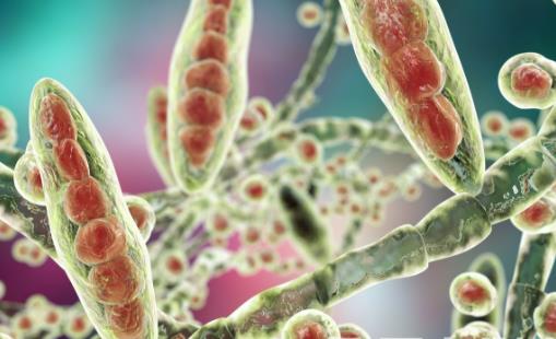 可惡的腳氣就是偏愛(ài)夏天 治療腳氣腳癬食療方