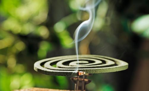 夏天孕婦和兒童防蚊很重要 叮后處理要做好