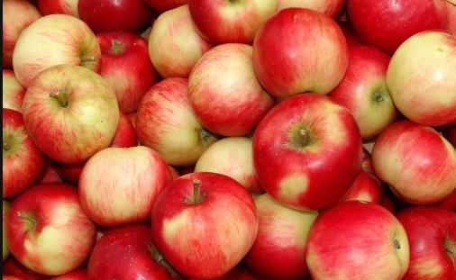 蘋果爛了一塊整個都不能吃了 快了解蘋果爛掉的原因