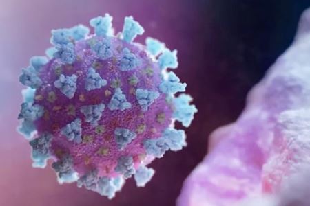 孕婦感染梅毒能順產(chǎn)嗎