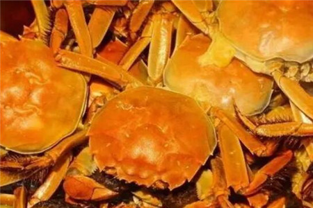 大閘蟹蒸多久才是最佳時間，這個時間段最適合