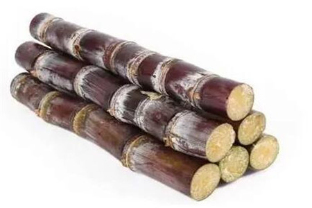 甘蔗上火還是降火，它的功效與作用