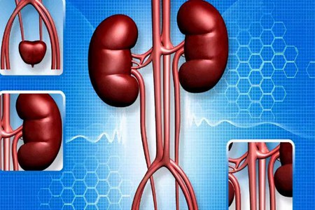 尿毒癥是怎么引起的原因有哪些 4個(gè)腎臟求救信號要注意