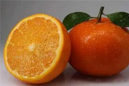 沃柑的功效與作用，吃它是降火還是上火