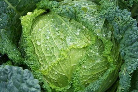 吃什么潤(rùn)腸通便 這3種食物建議經(jīng)常食用