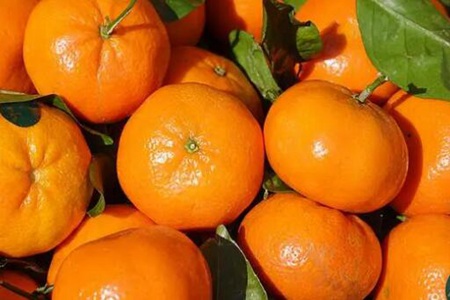 咳嗽吃什么水果？這五個(gè)水果潤(rùn)喉止咳效果好