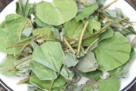 膽結(jié)石吃什么可以化掉結(jié)石？這五個(gè)食物能幫助排石緩解痛苦