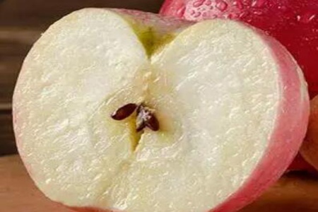 闌尾炎吃什么好？這四個水果食物多吃恢復(fù)快