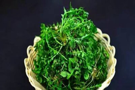 抗癌野菜有哪些，癌癥最怕的八種野菜