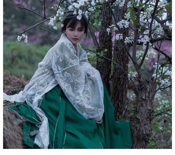 李子柒停更80多天，被質(zhì)疑通過整容換人？她助理的回應(yīng)來了